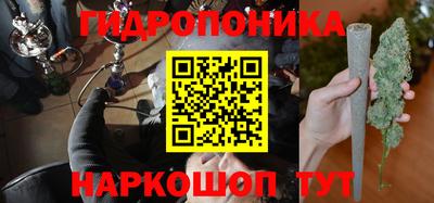 apvp Славгород