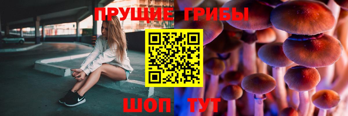 Петрозаводск  Псилоцибиновые грибы мицелий  Вход с VPN  Псилоцибиновые грибы Psilocybe 